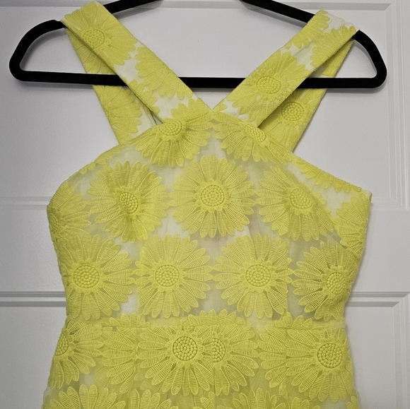 New Daniel Cremieux Women's "Natalie" Daisy Sleeveless Sundress sz 0 NWT - Picture 2 of 8